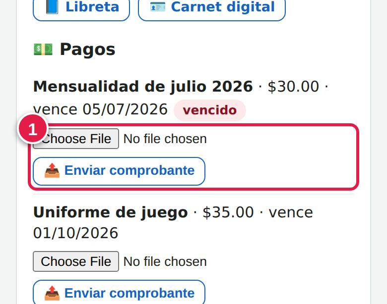 Enviar comprobante desde el celular