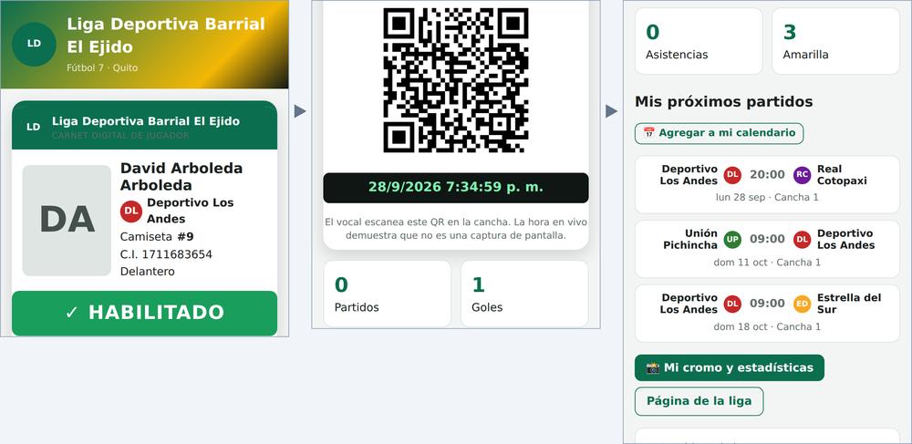 Portal del jugador: carnet digital, estadísticas y próximos partidos