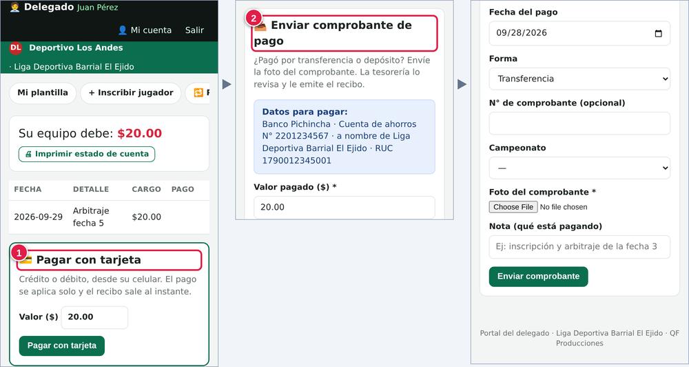 Estado de cuenta del delegado